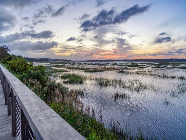 Hilton Head Condo 1009133