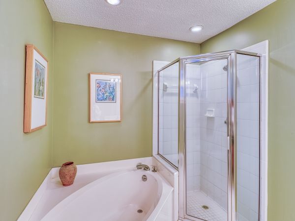 Hilton Head Condo 1009138
