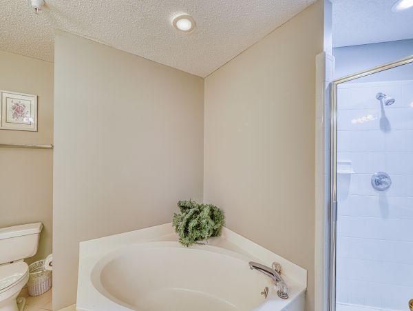 Hilton Head Condo 1009138