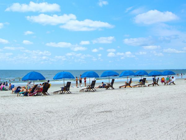 Hilton Head Condo 1009139