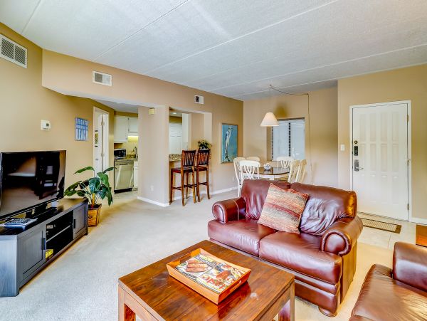 Hilton Head Condo 1009139