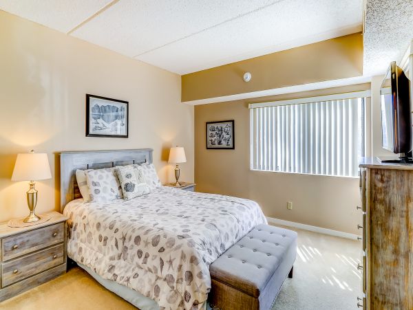 Hilton Head Condo 1009139