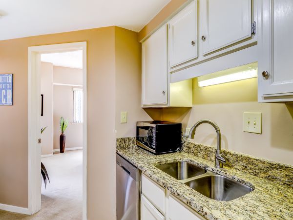Hilton Head Condo 1009139