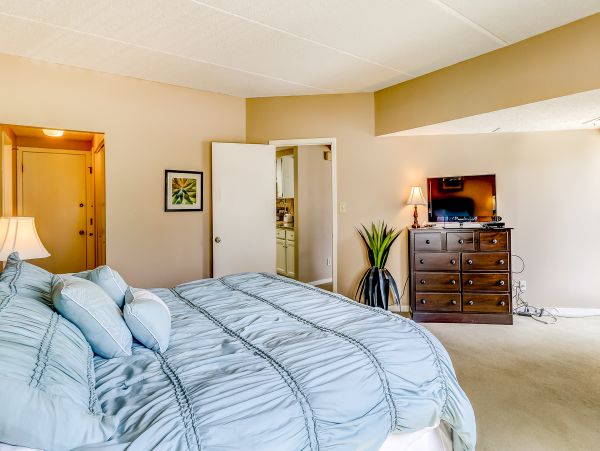 Hilton Head Condo 1009139