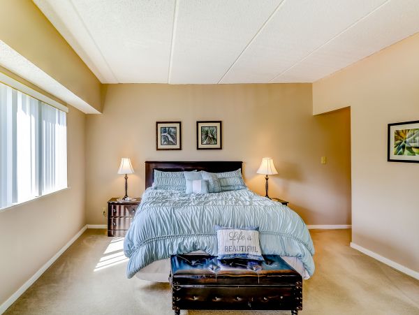Hilton Head Condo 1009139