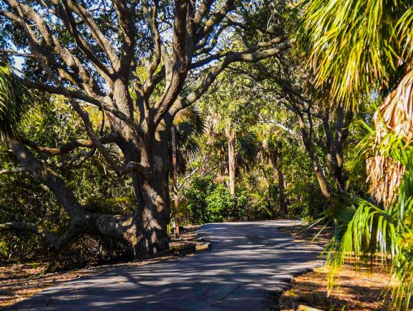 Hilton Head Condo 1009141