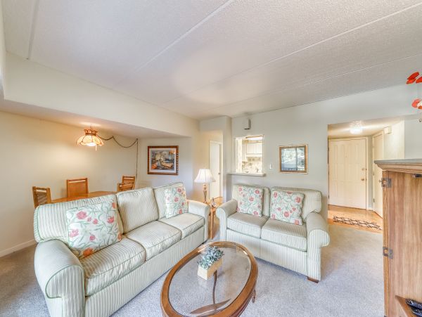 Hilton Head Condo 1009142