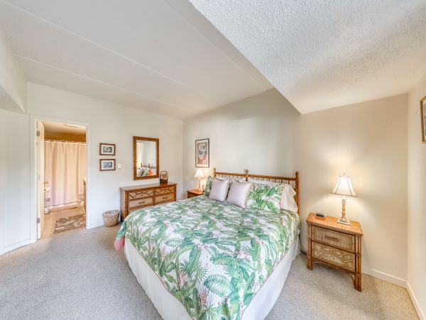 Hilton Head Condo 1009142