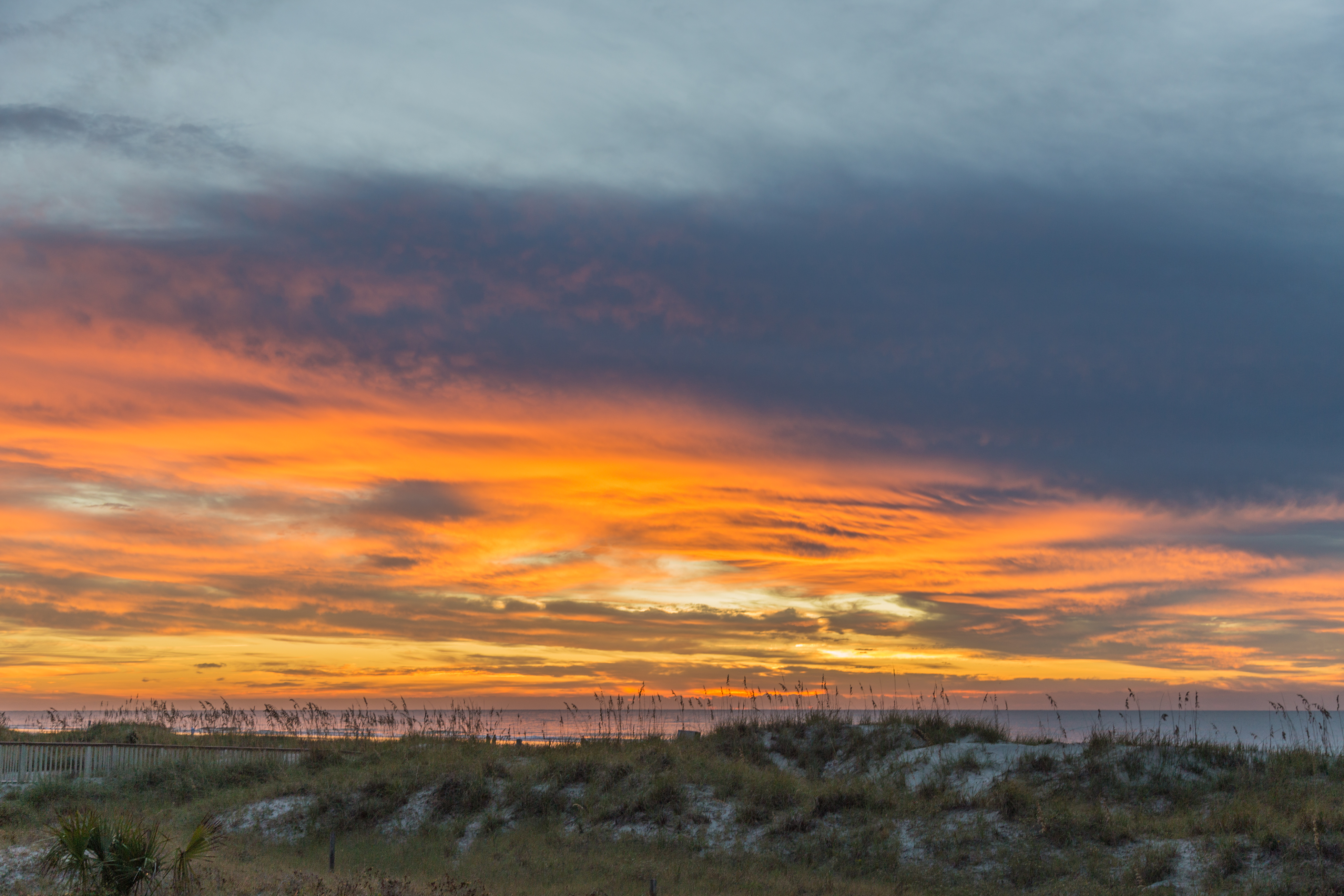 Hilton Head Condo 1009143
