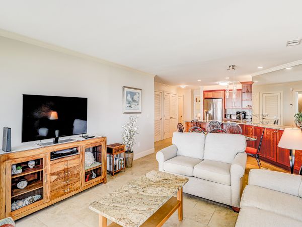 Hilton Head Condo 1009144