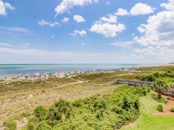 Hilton Head Condo 1009144