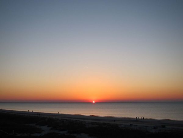 Hilton Head Condo 1009144