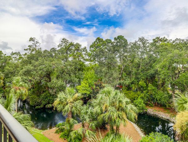Hilton Head Condo 1009147