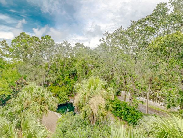Hilton Head Condo 1009147