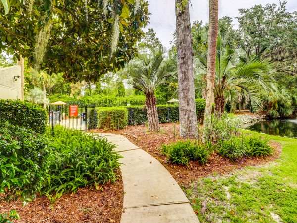 Hilton Head Condo 1009147