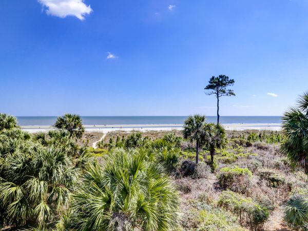 Hilton Head Condo 1009148