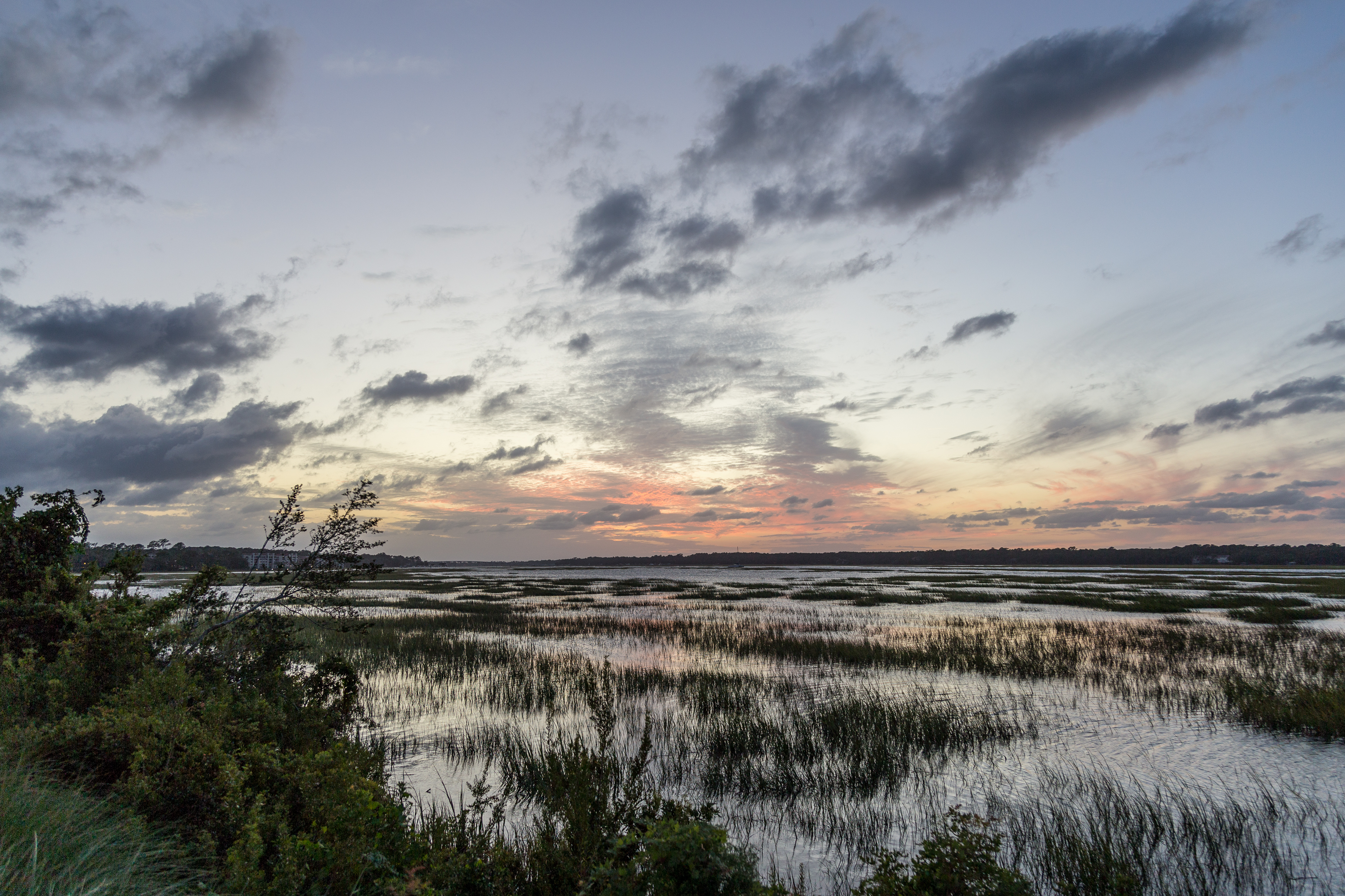 Hilton Head Condo 1009148