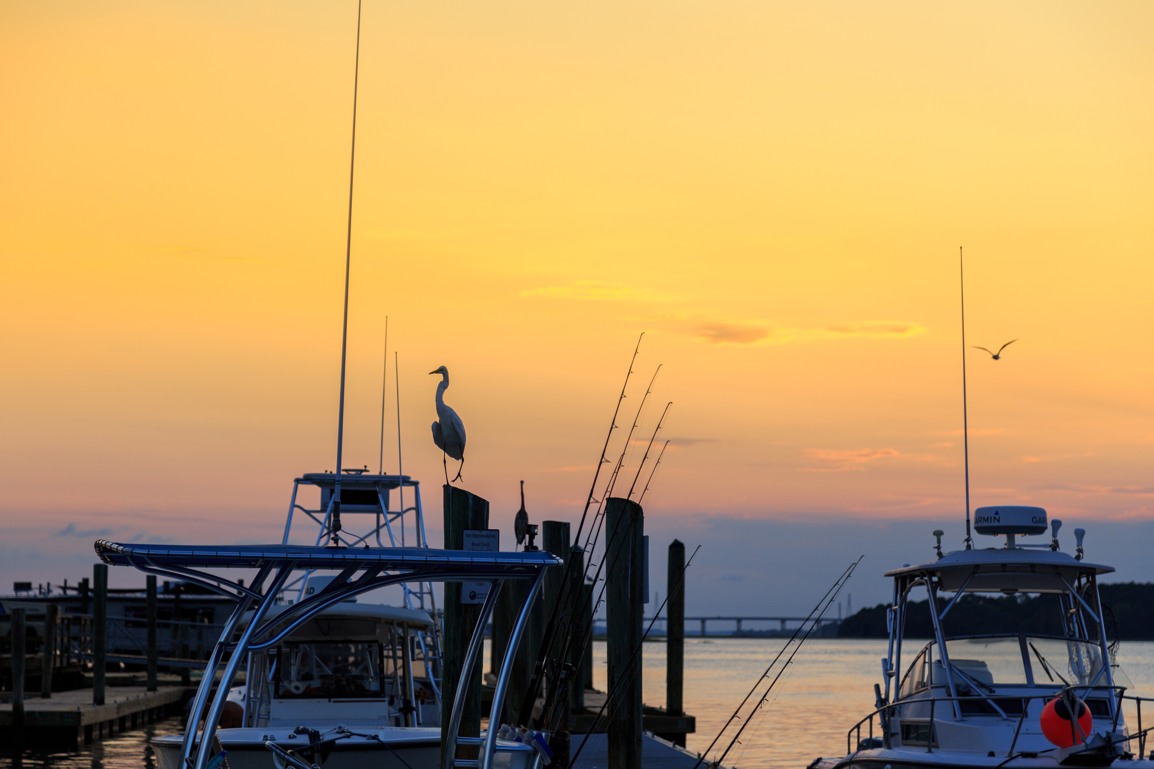 Hilton Head Condo 1009148