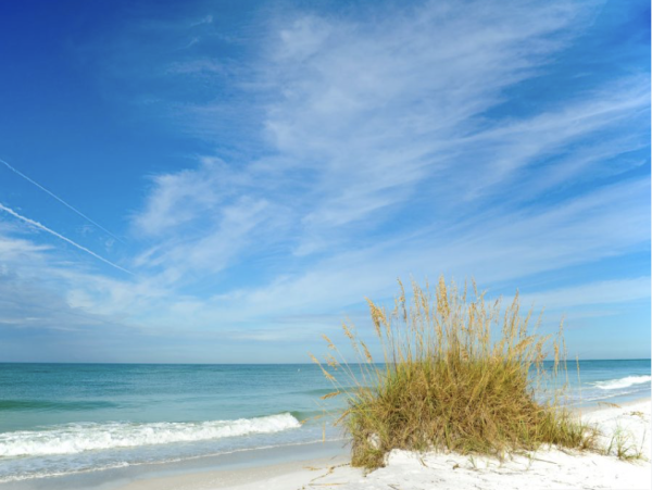 Holmes Beach Luxury Six Bedroom Villa - additional view, photo 2