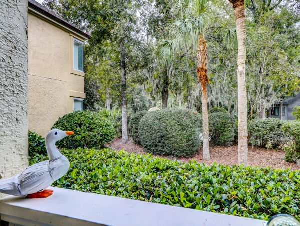 Hilton Head Condo 1009153