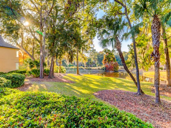 Hilton Head Condo 1009161