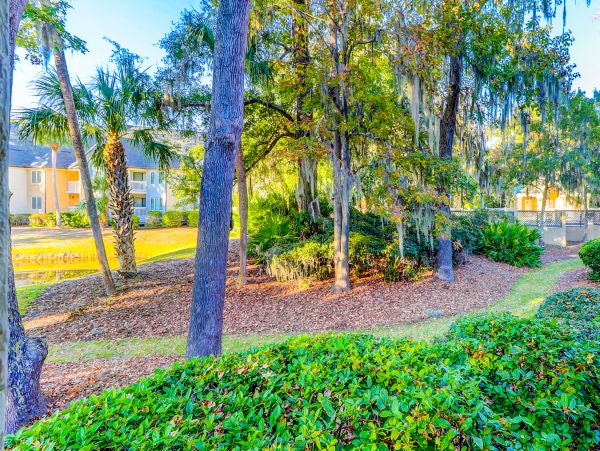 Hilton Head Condo 1009161