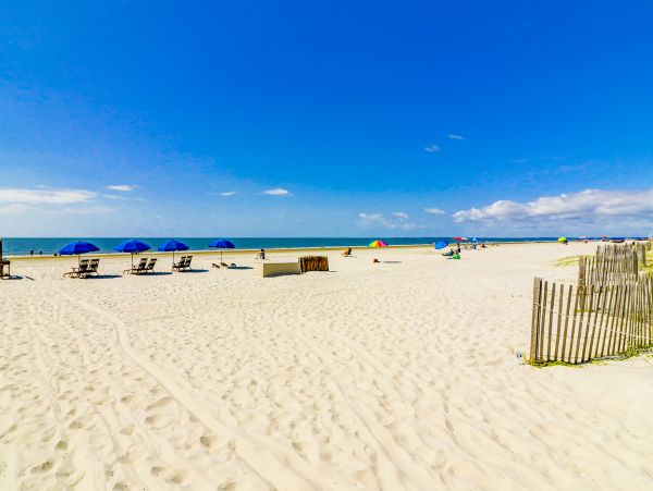 Hilton Head Condo 1009167