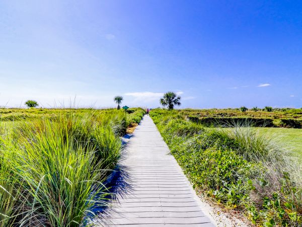 Hilton Head Condo 1009167