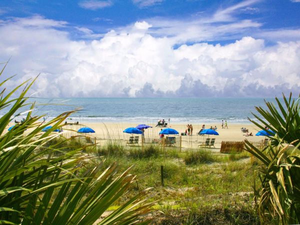 Hilton Head Condo 1009169