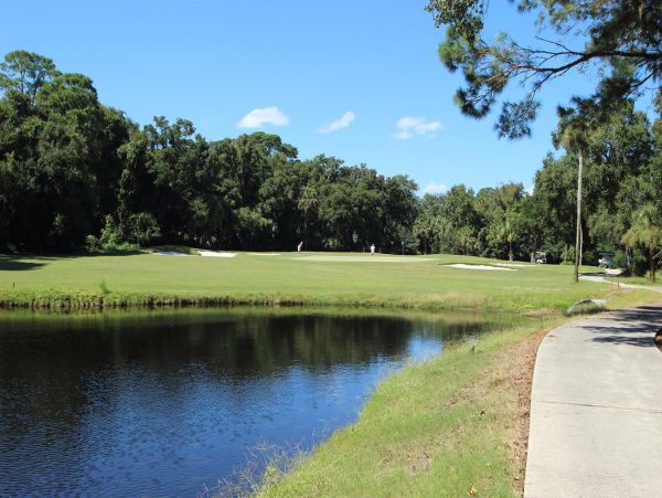 Hilton Head Condo 1009169