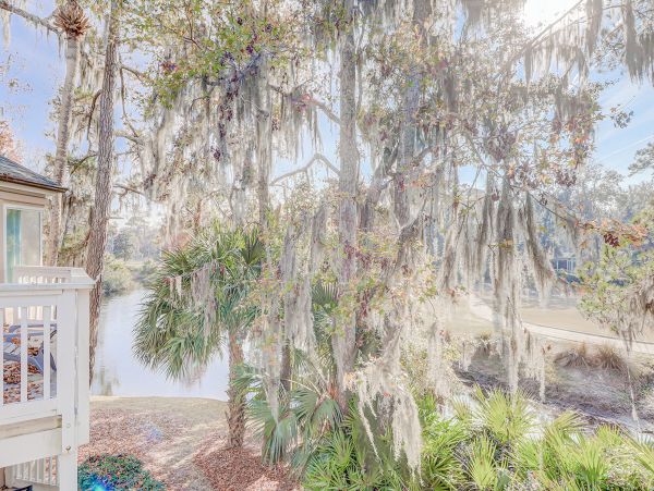 Hilton Head Condo 1009173