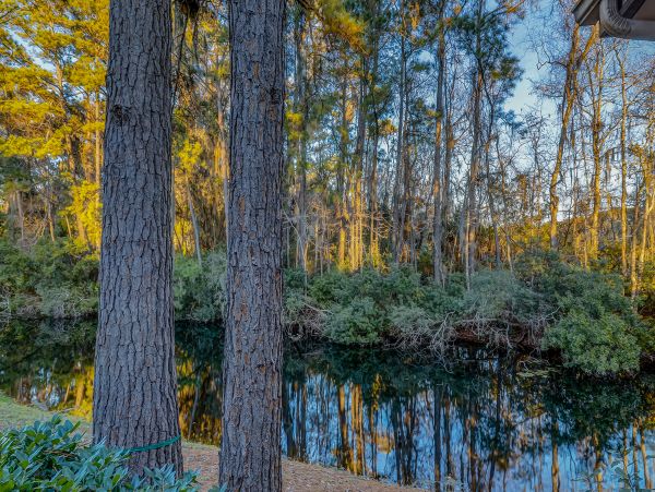 Hilton Head Condo 1009182