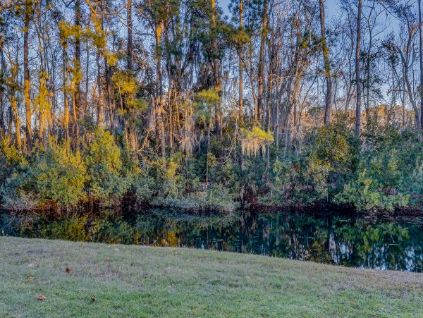 Hilton Head Condo 1009182