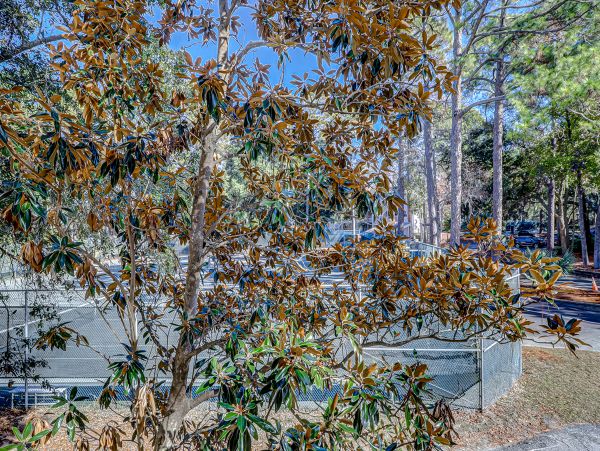 Hilton Head Condo 1009186
