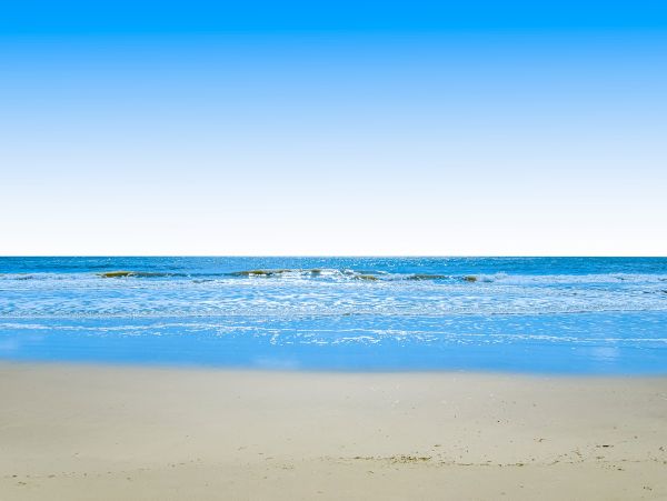 Hilton Head Condo 1009186