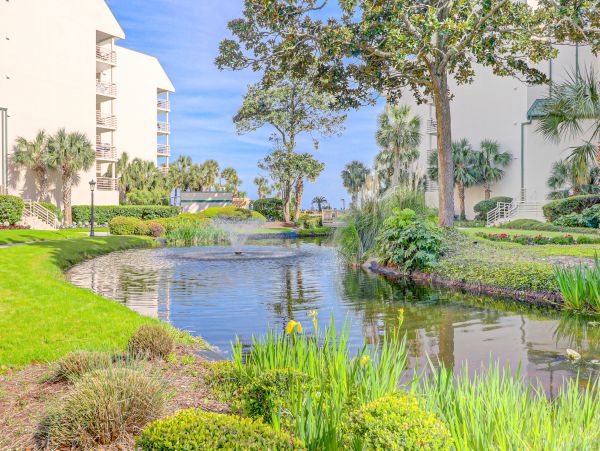 Hilton Head Condo 1009194