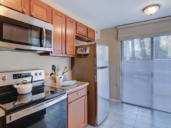 Hilton Head Condo 1009198