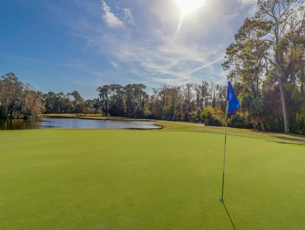 Hilton Head Condo 1009198