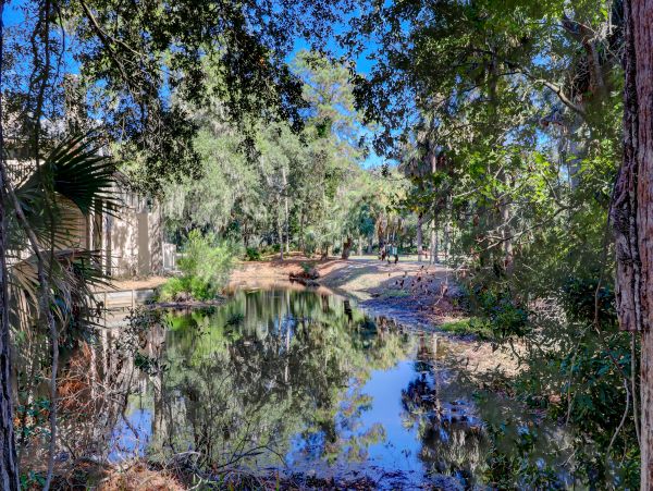 Hilton Head Condo 1009222