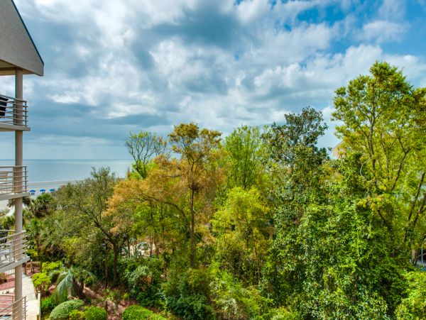 Hilton Head Condo 1009223
