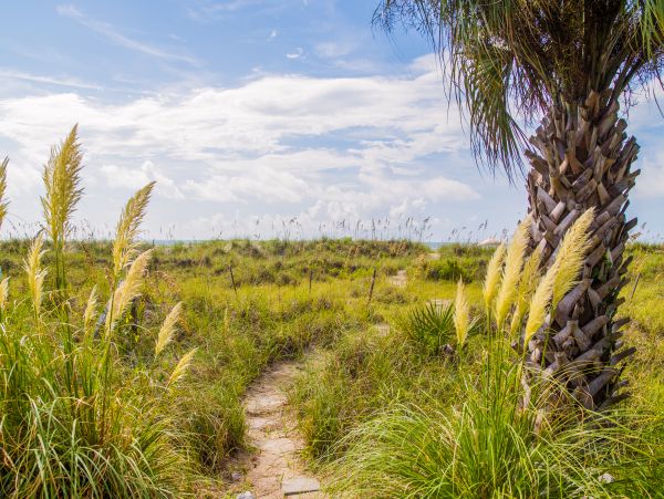 Hilton Head Home 1009226