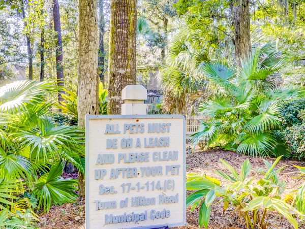 Hilton Head Condo 1009229