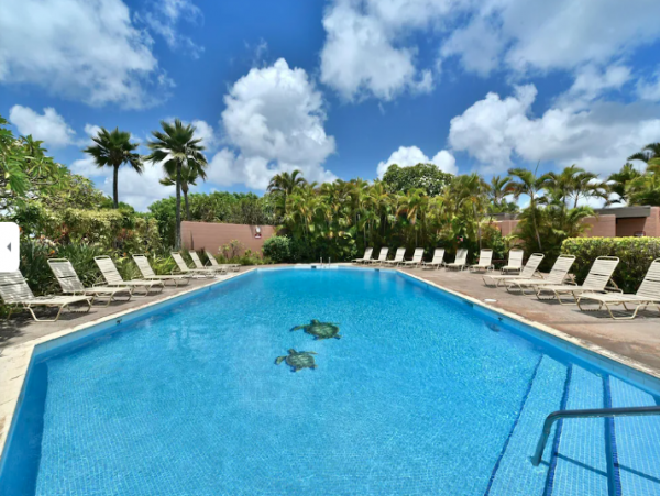 Beautiful & Cozy 1 Bedroom Ocean View Condo Sleeps 4