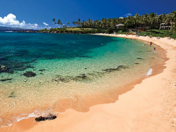 Beautiful & Cozy 1 Bedroom Ocean View Condo Sleeps 4