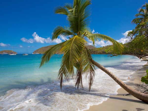 St. Thomas Five Bedroom  Vacation Villa Separate Apartment