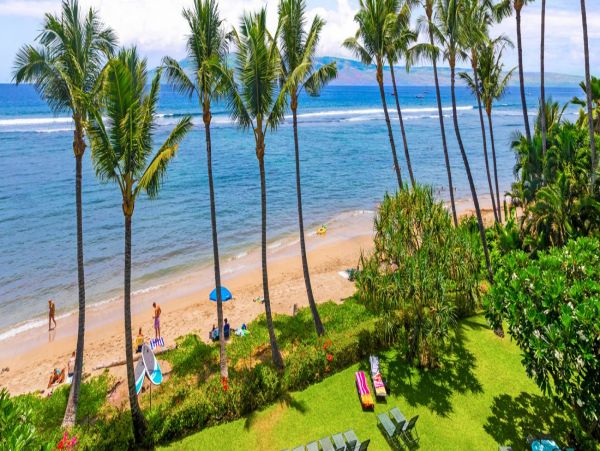 Oceanfront Lahaina Maui Vacation Rental Sleeps 4 Guests