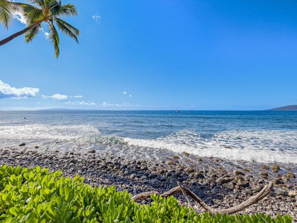 Oceanfront Lahaina Maui Vacation Rental Sleeps 4 Guests