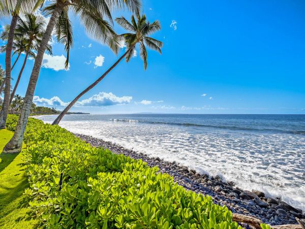 Oceanfront Lahaina Maui Vacation Rental Sleeps 4 Guests