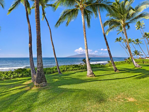 Oceanfront Lahaina Maui Vacation Rental Sleeps 4 Guests