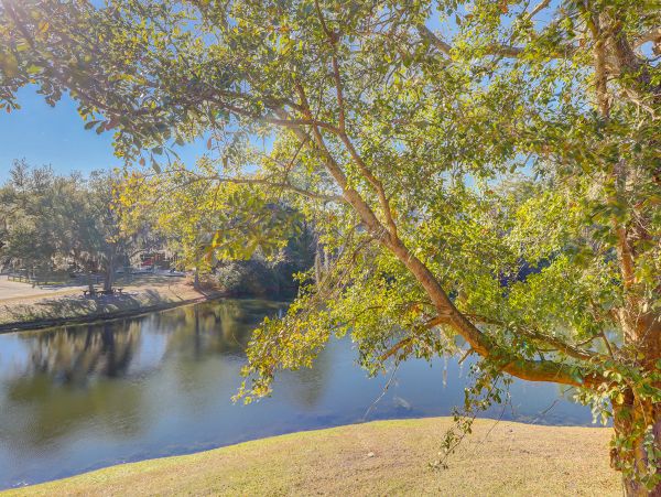 Hilton Head Condo 1009270